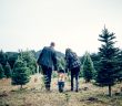 21 Family Quality Time Ideas For Creating Christmas Memories